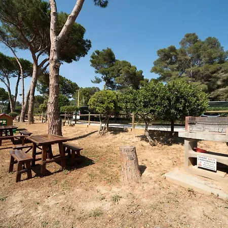 Le Grazie Est Apart Otel 3*
